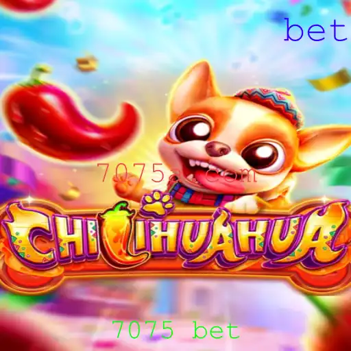 Explorando o Jogo CHILIHUAHUA: Regras, Estratégias e Novidades