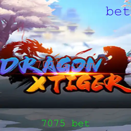 Explorando DragonXTiger: Um Guia Completo do Jogo